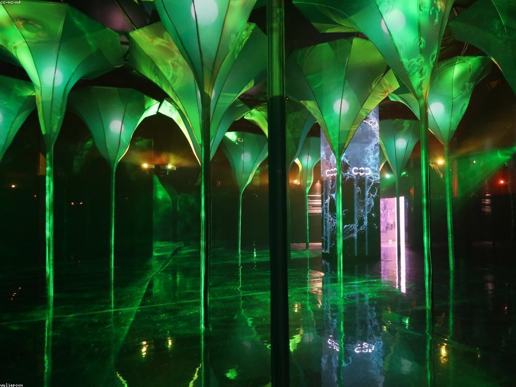 ព័ត៌មានថ្មីៗអំពីកាស៊ីណូ