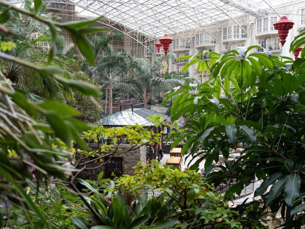 យុទ្ធសាស្ត្រលូតលាស់៖ ការពង្រីកទីផ្សារនៅក្នុងអាជីវកម្ម